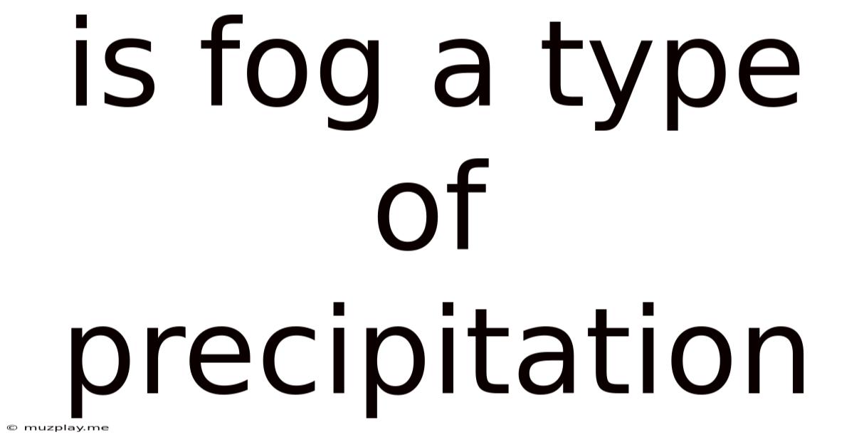 Is Fog A Type Of Precipitation