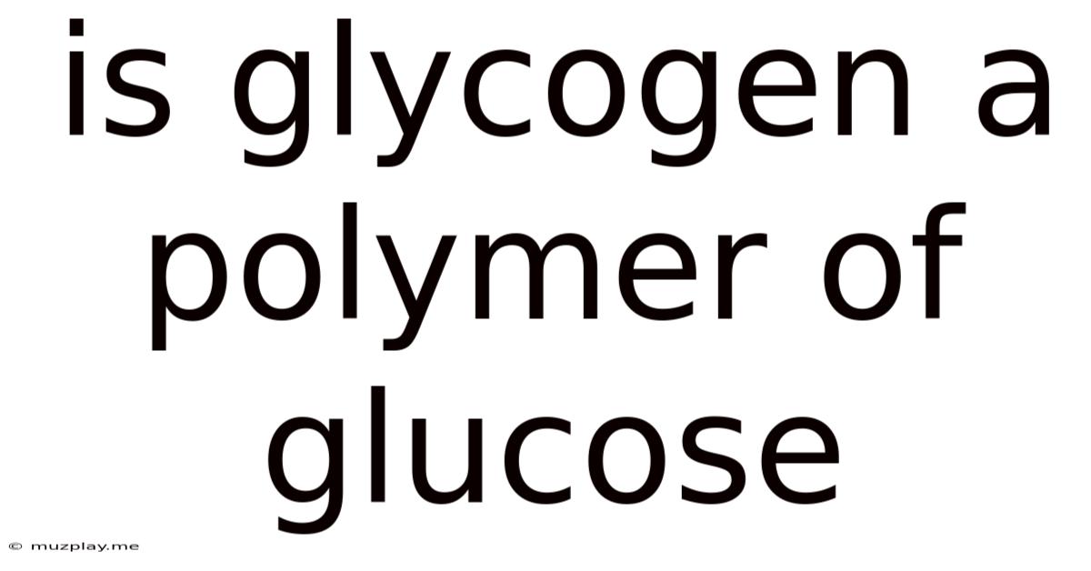 Is Glycogen A Polymer Of Glucose