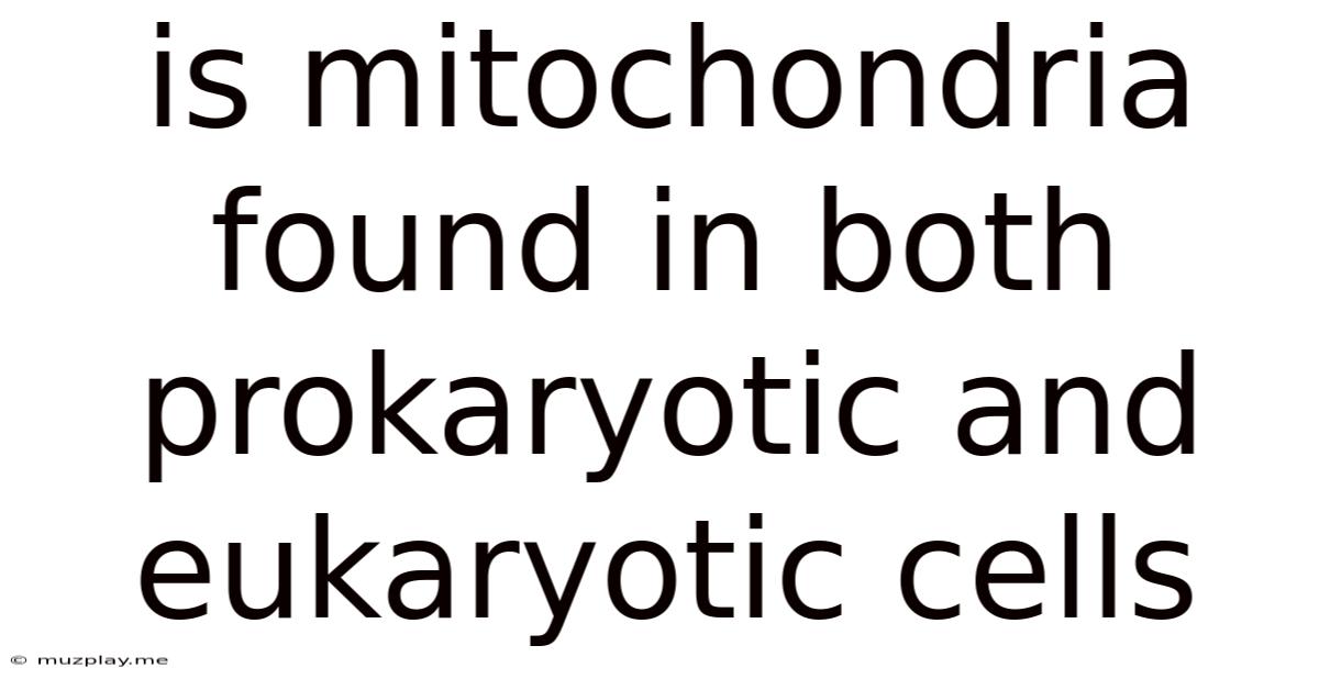 Is Mitochondria Found In Both Prokaryotic And Eukaryotic Cells