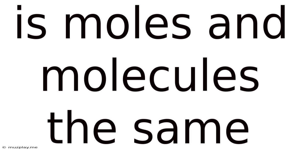 Is Moles And Molecules The Same