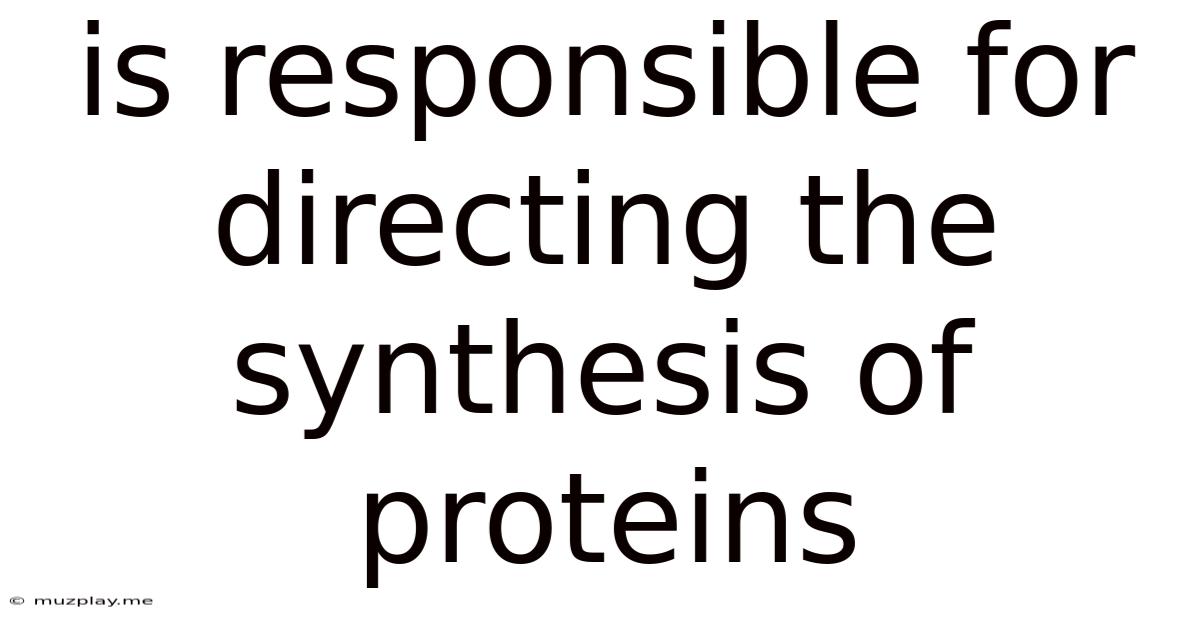 Is Responsible For Directing The Synthesis Of Proteins