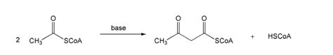 Is Scoa A Base Or Acid