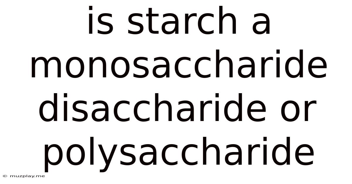 Is Starch A Monosaccharide Disaccharide Or Polysaccharide