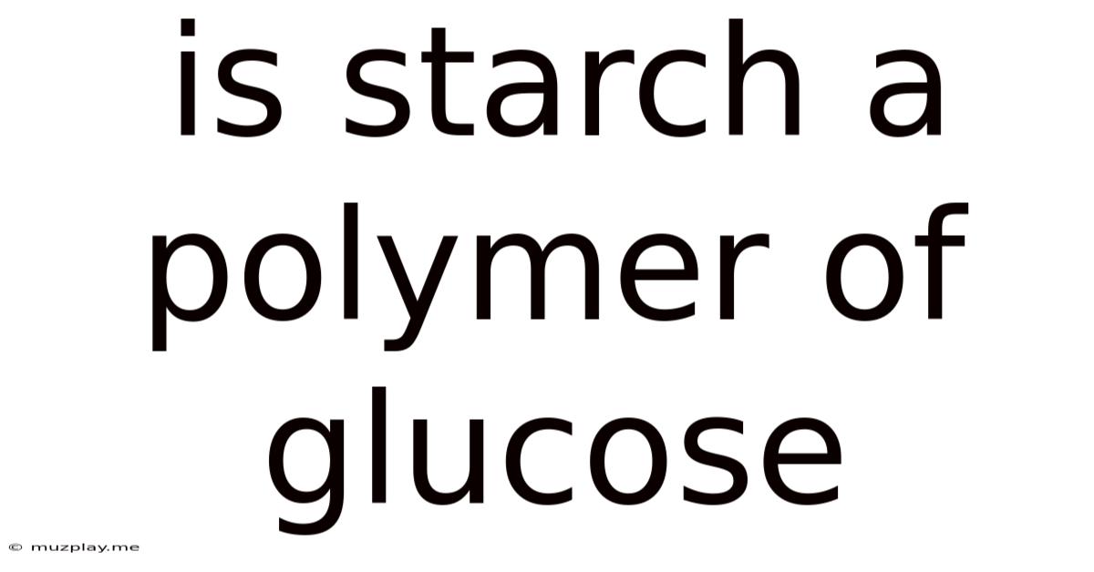 Is Starch A Polymer Of Glucose