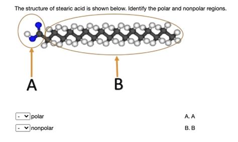 Is Stearic Acid Polar Or Nonpolar