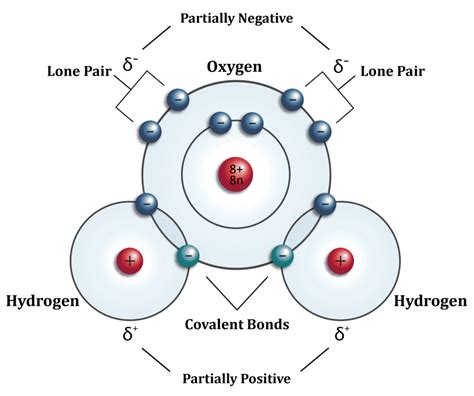 Is Water An Ionic Or Covalent Compound