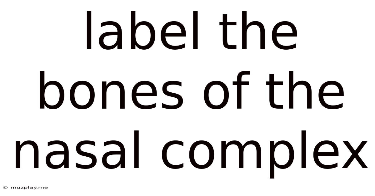 Label The Bones Of The Nasal Complex