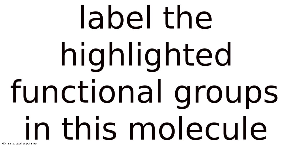 Label The Highlighted Functional Groups In This Molecule