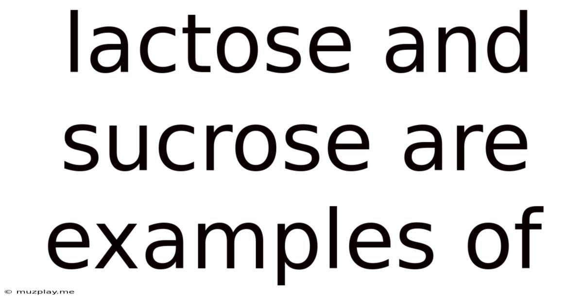 Lactose And Sucrose Are Examples Of