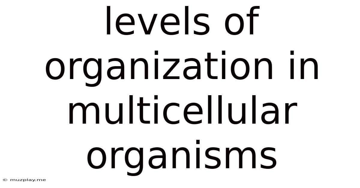 Levels Of Organization In Multicellular Organisms
