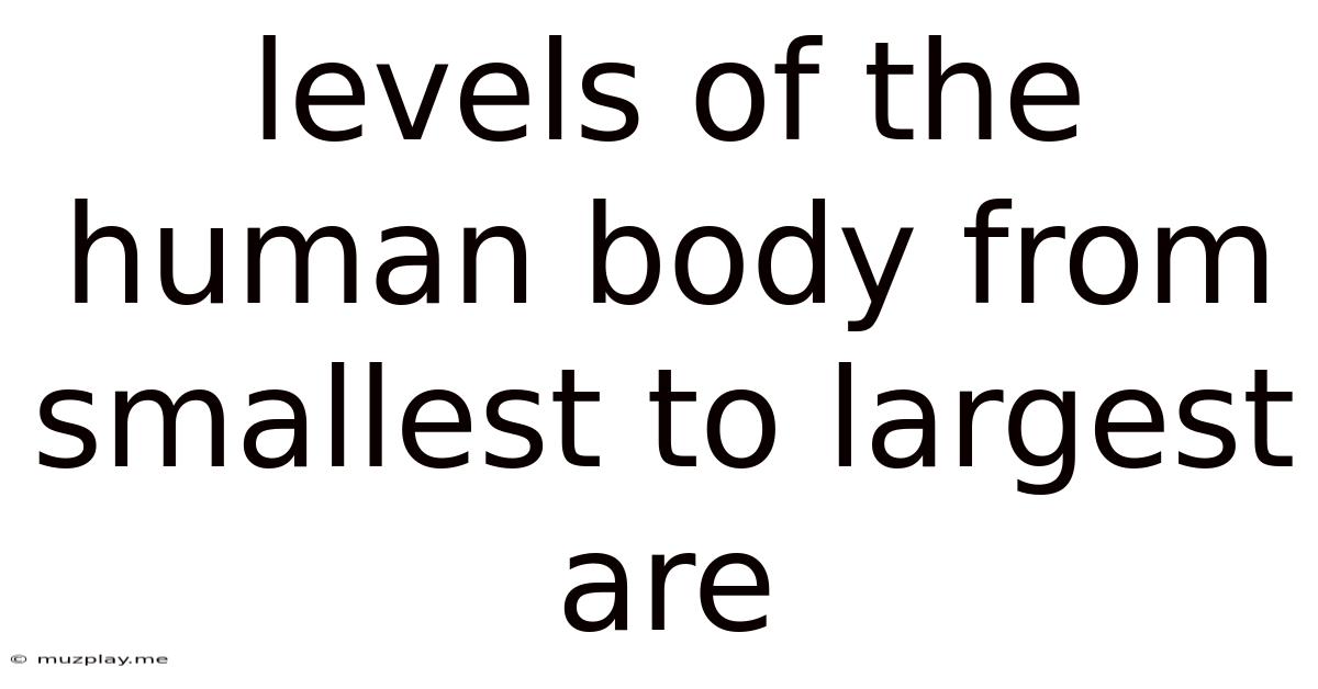 Levels Of The Human Body From Smallest To Largest Are