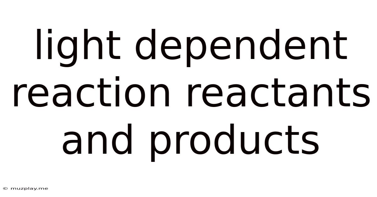 Light Dependent Reaction Reactants And Products