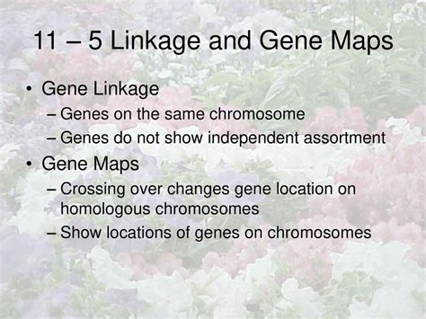 Linkage Groups Have Genes That Do Not Show Independent Assortment.