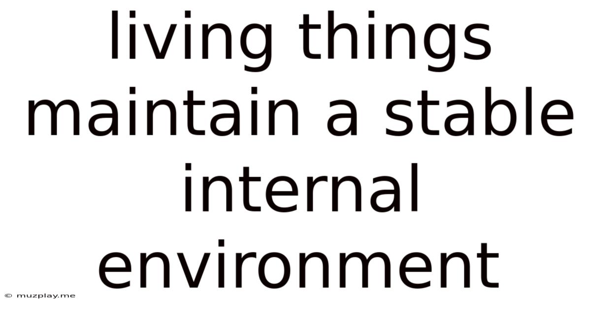 Living Things Maintain A Stable Internal Environment