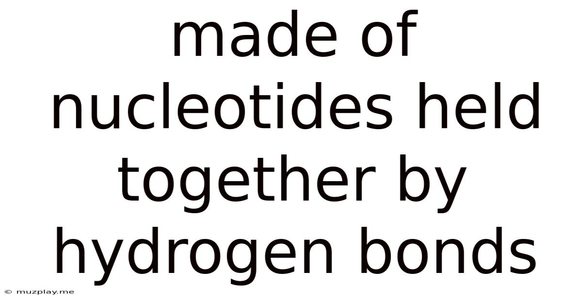 Made Of Nucleotides Held Together By Hydrogen Bonds