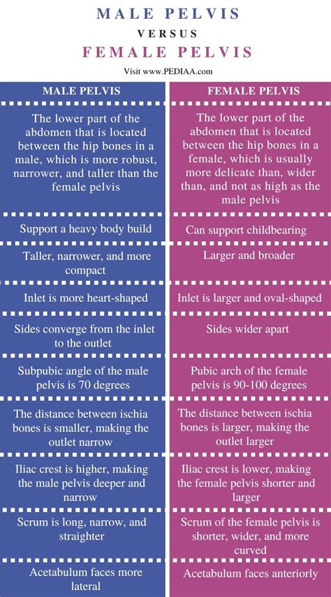 Male And Female Pelvis Differences Table