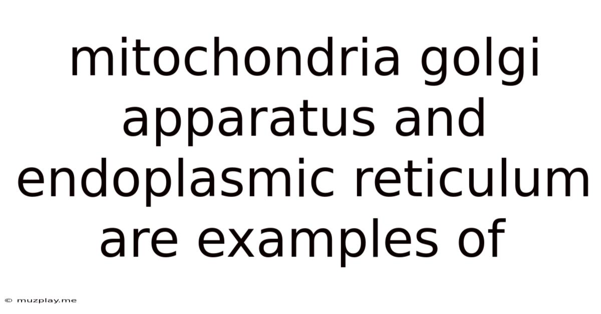 Mitochondria Golgi Apparatus And Endoplasmic Reticulum Are Examples Of