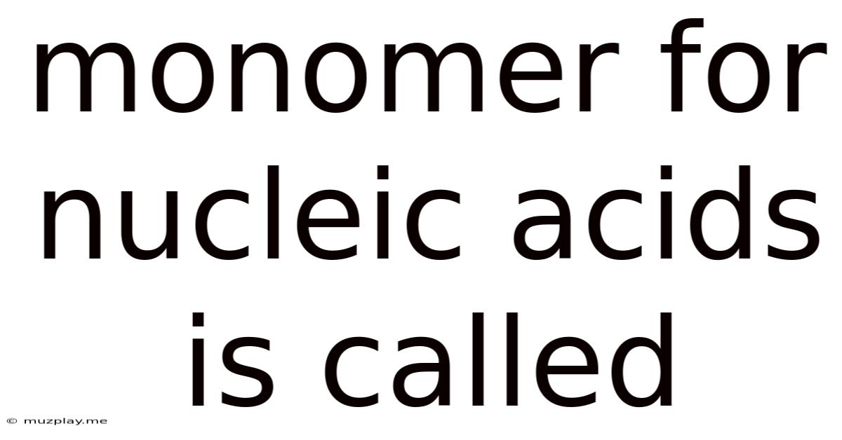 Monomer For Nucleic Acids Is Called
