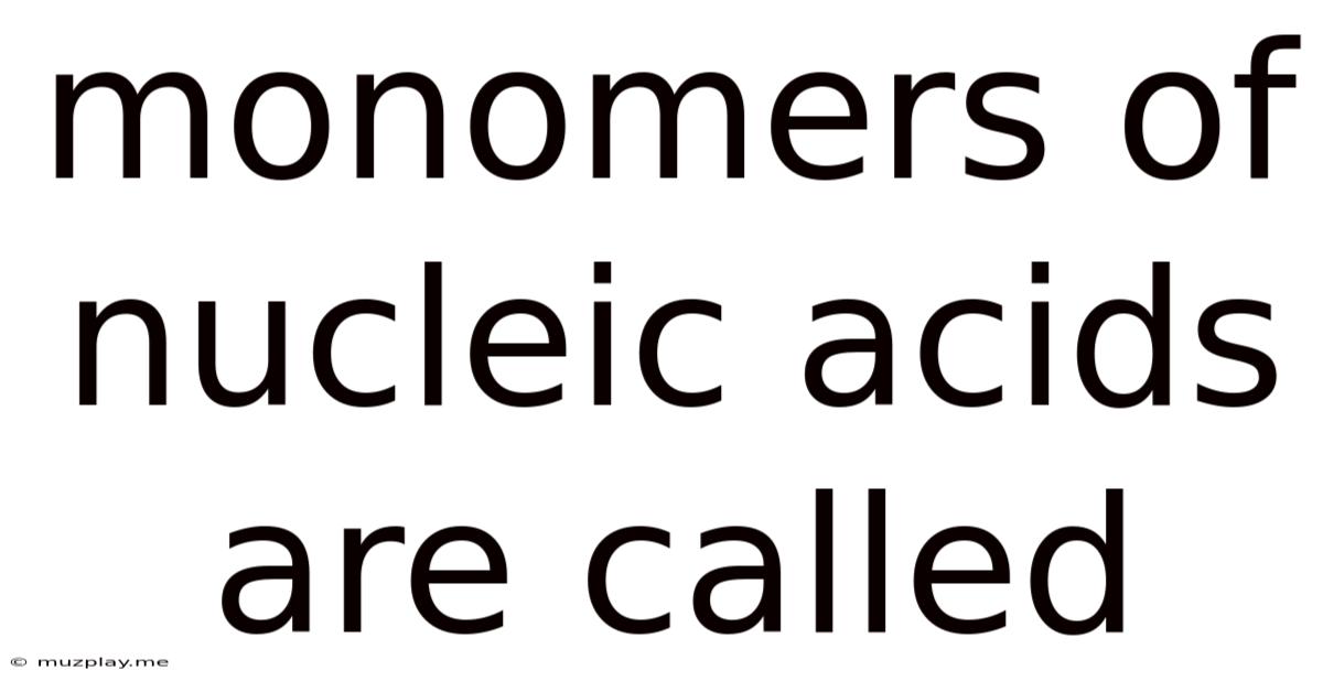 Monomers Of Nucleic Acids Are Called