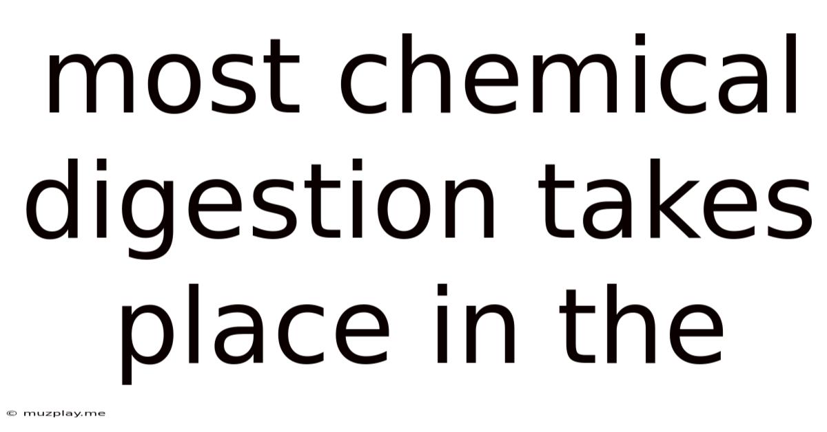 Most Chemical Digestion Takes Place In The