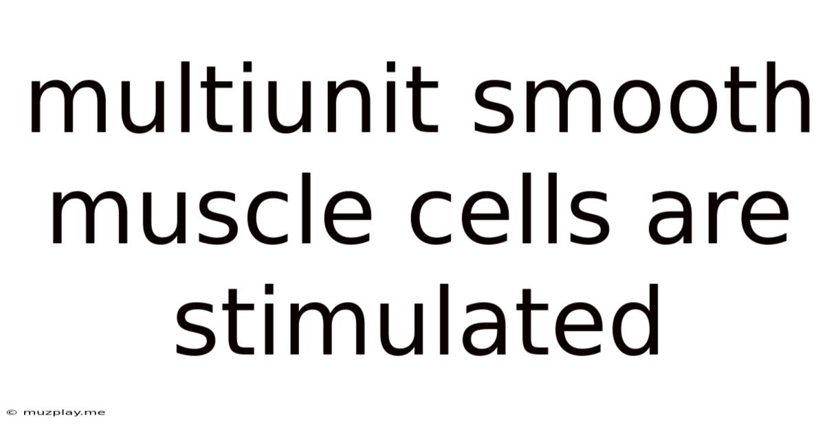 Multiunit Smooth Muscle Cells Are Stimulated