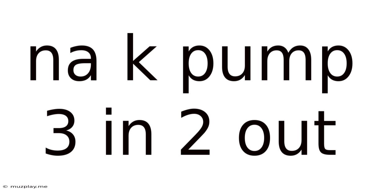 Na K Pump 3 In 2 Out