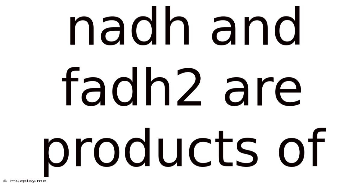 Nadh And Fadh2 Are Products Of