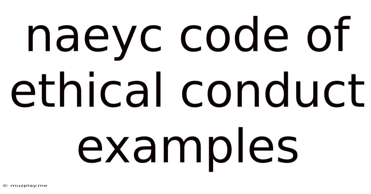 Naeyc Code Of Ethical Conduct Examples