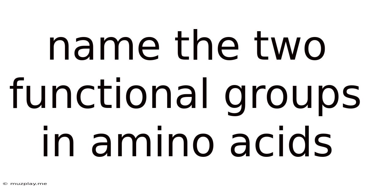 Name The Two Functional Groups In Amino Acids