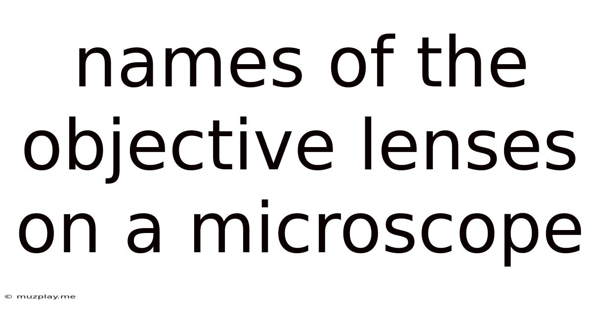 Names Of The Objective Lenses On A Microscope