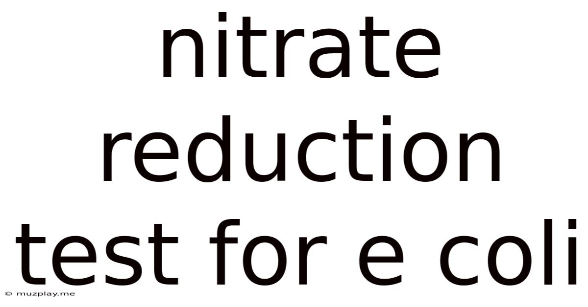 Nitrate Reduction Test For E Coli