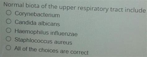 Normal Biota Of The Upper Respiratory Tract Include