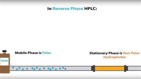 Normal Phase Vs Reverse Phase Hplc