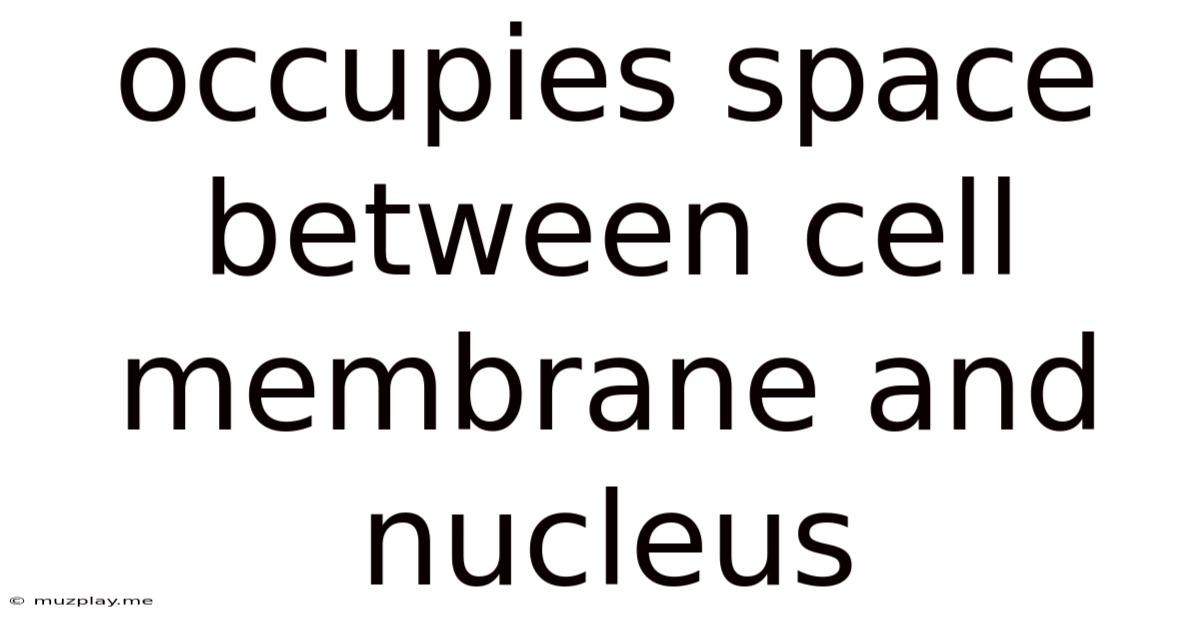 Occupies Space Between Cell Membrane And Nucleus