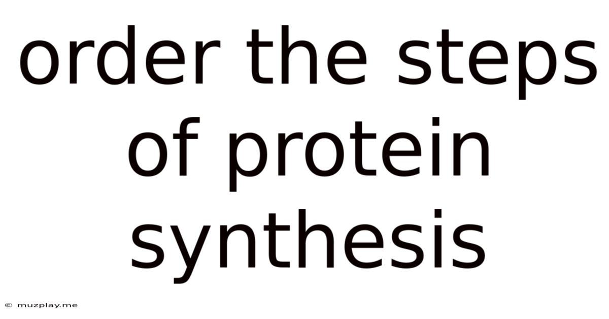 Order The Steps Of Protein Synthesis