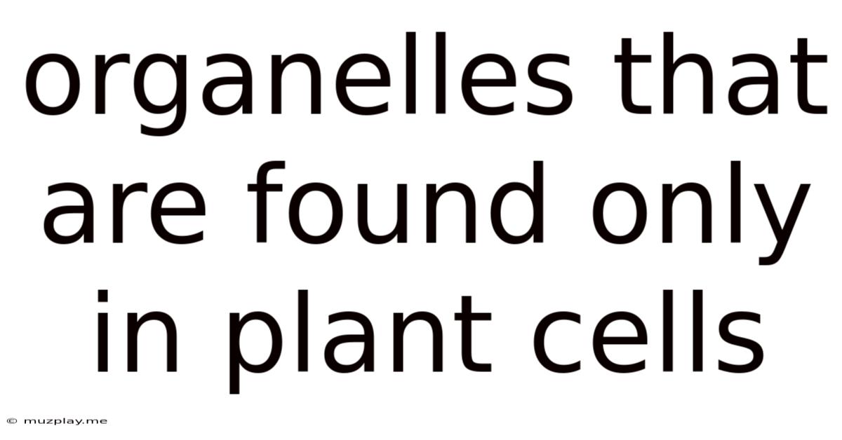 Organelles That Are Found Only In Plant Cells