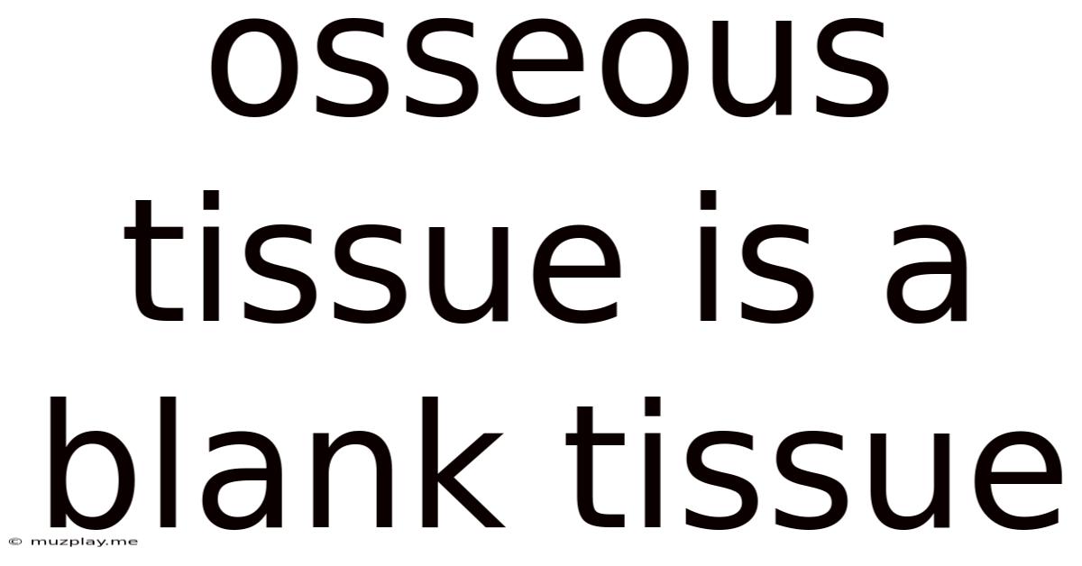 Osseous Tissue Is A Blank Tissue