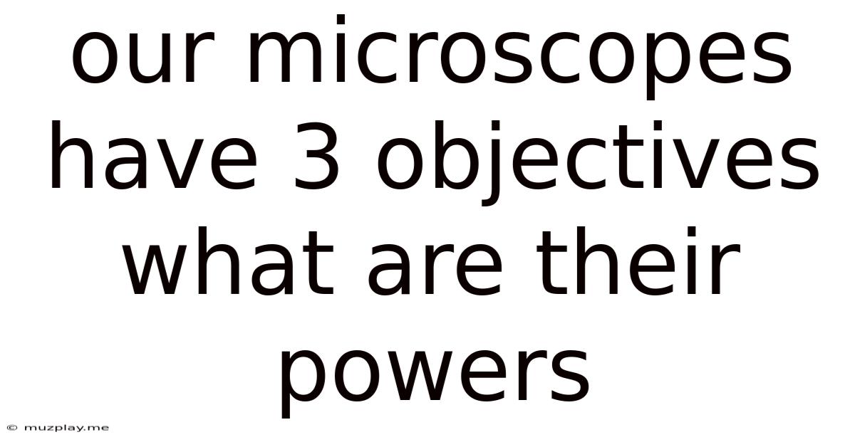 Our Microscopes Have 3 Objectives What Are Their Powers