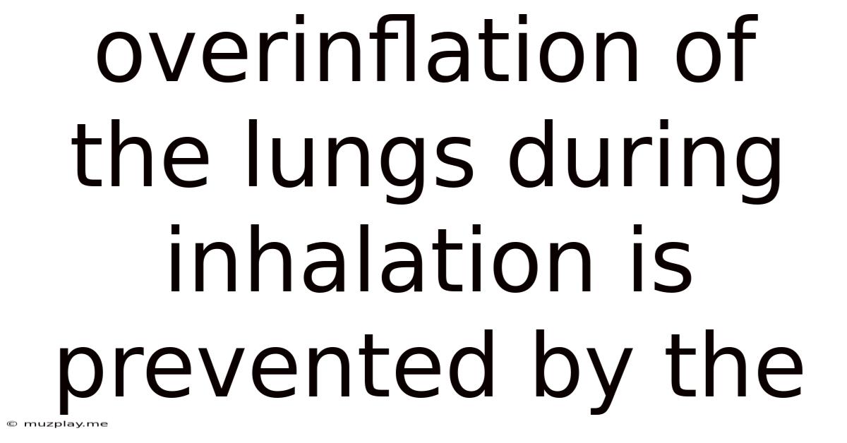 Overinflation Of The Lungs During Inhalation Is Prevented By The