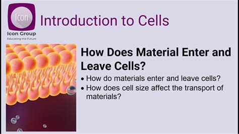 Packages Materials To Leave The Cell