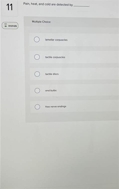 Pain Heat And Cold Are Detected By