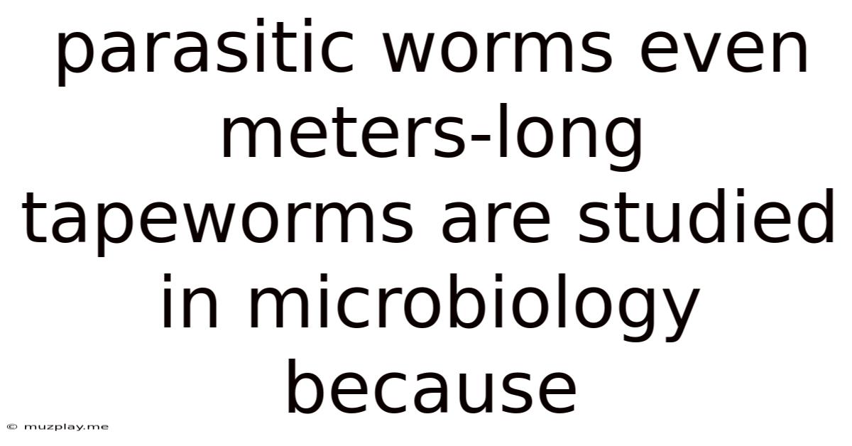 Parasitic Worms Even Meters-long Tapeworms Are Studied In Microbiology Because