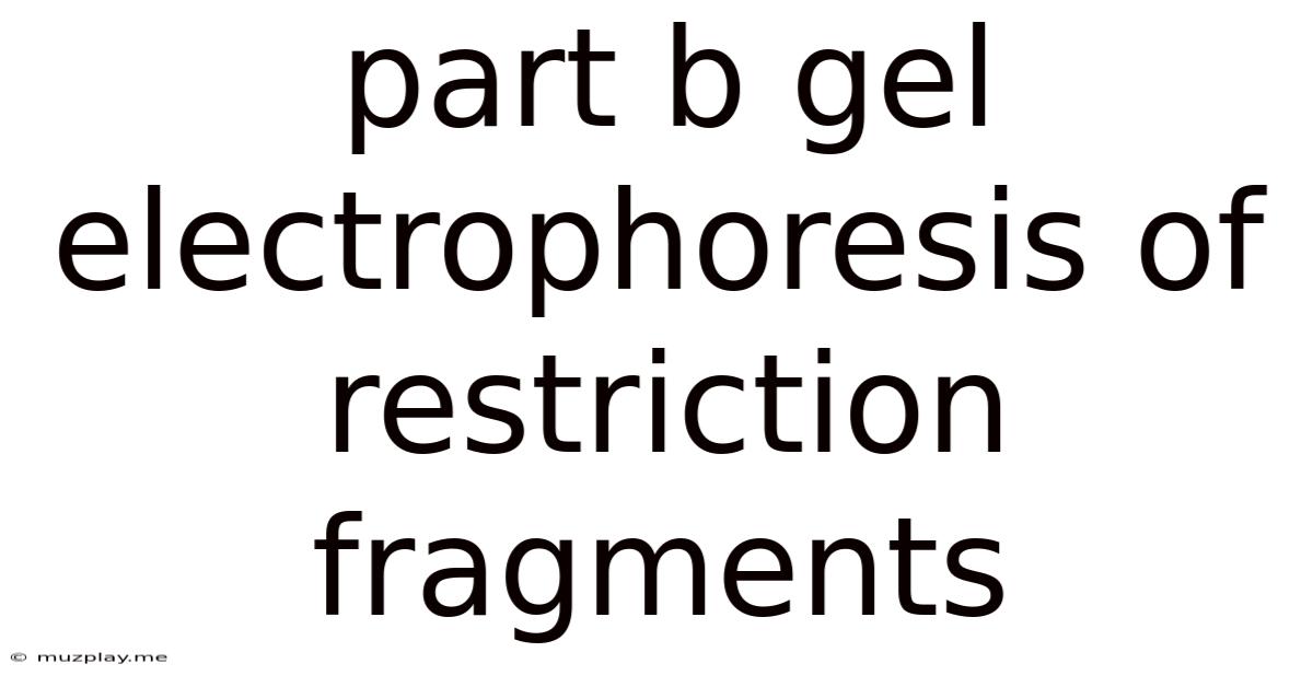 Part B Gel Electrophoresis Of Restriction Fragments