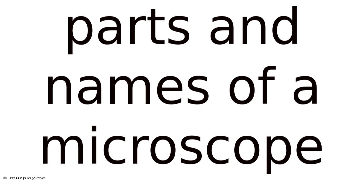 Parts And Names Of A Microscope