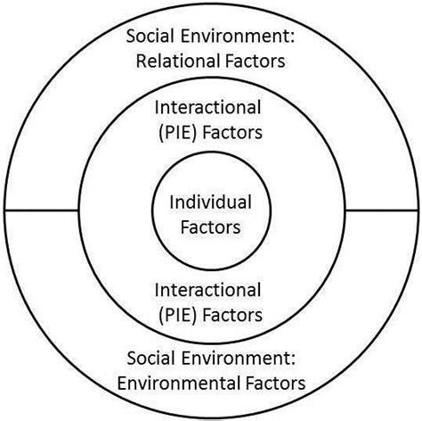 Person In Environment Social Work Theory