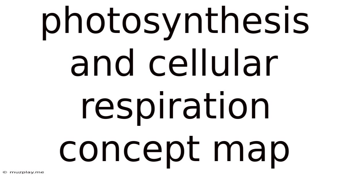 Photosynthesis And Cellular Respiration Concept Map