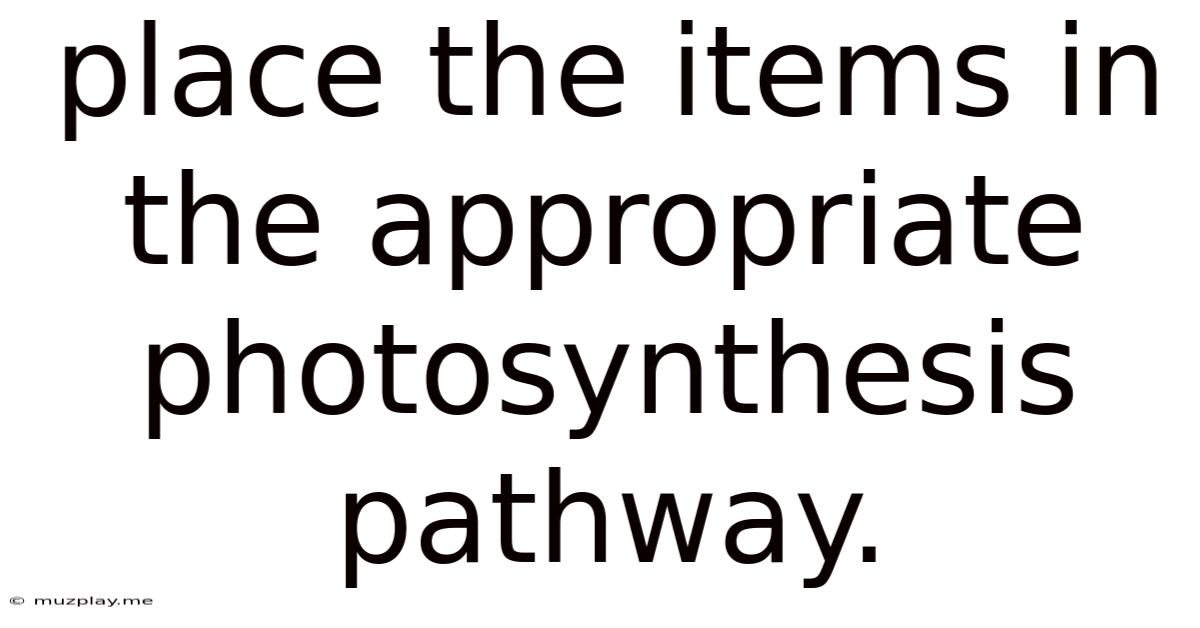 Place The Items In The Appropriate Photosynthesis Pathway.