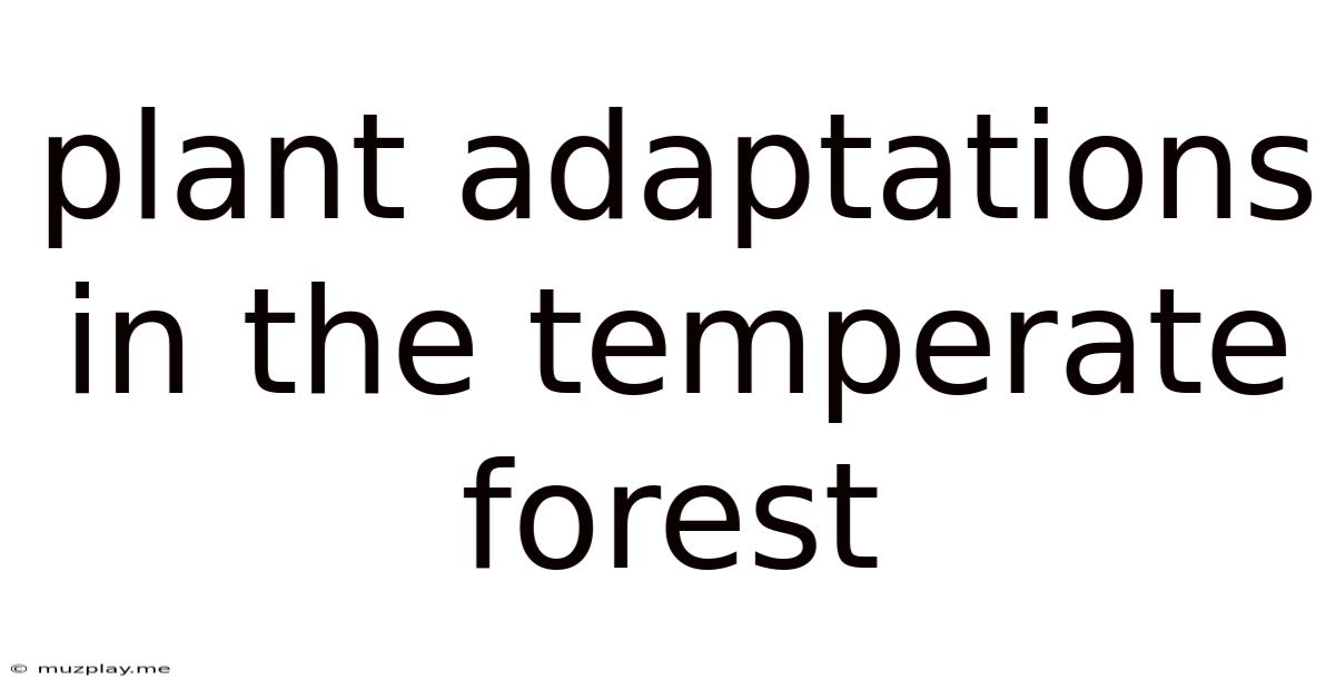 Plant Adaptations In The Temperate Forest