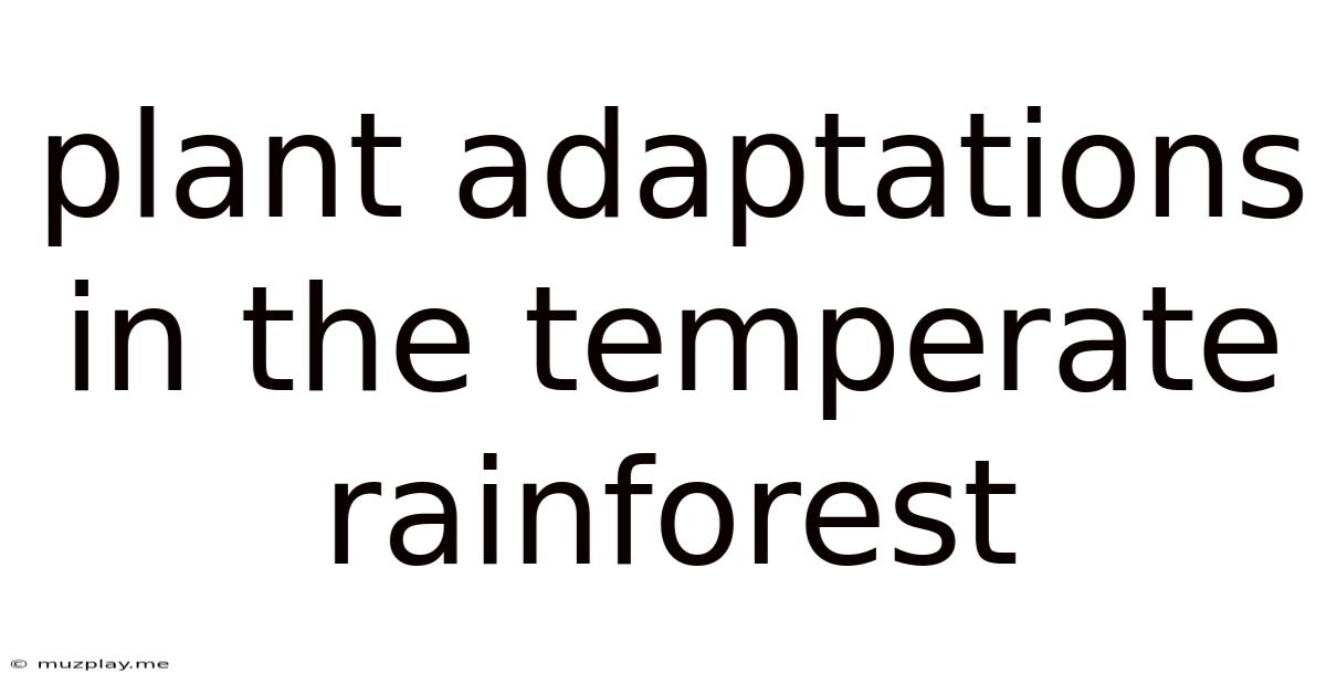 Plant Adaptations In The Temperate Rainforest