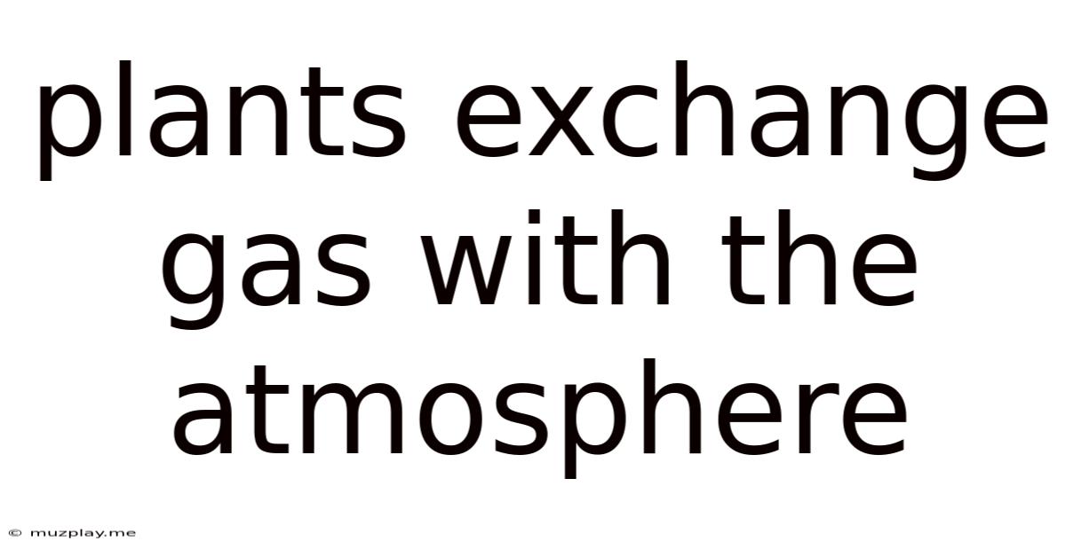 Plants Exchange Gas With The Atmosphere